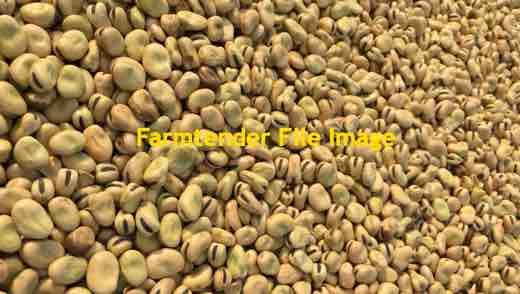 EOI on Faba Beans/ Vetch Mix