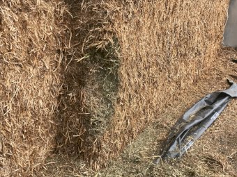 500mt Vetch Hay 650kg+ 8x4x3 (21/22)