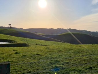 Agistment 160 Acres of Incredible Country (Poowong East)