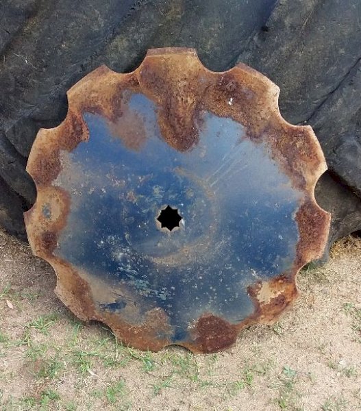 24 x Scalloped Disc Blades 26" x 5mm