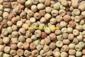 50 mt PBA Oura Field Pea