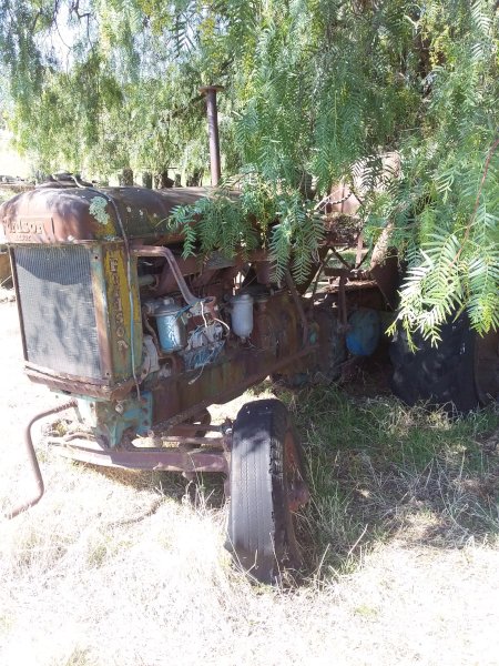 Fordson P6