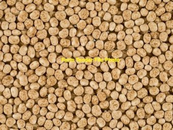 44mt Lupins Ex Farm