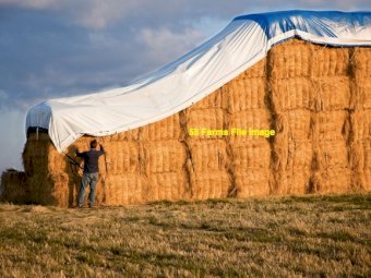 4 x Hay Caps (Tarps)