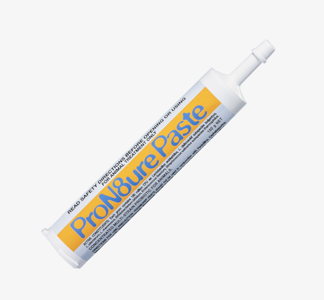 ProN8ure® Paste