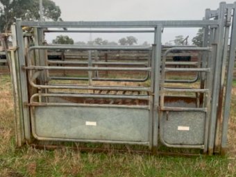 Norton Cattle Crush