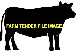 WANTED Steers x 5