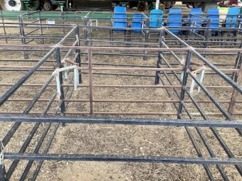Sheep Pens x 46