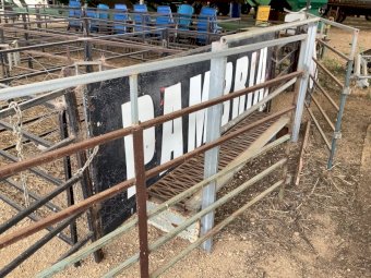 Sheep Pens x 46