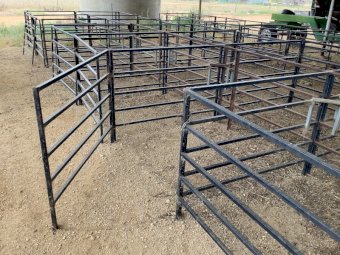Sheep Pens x 46