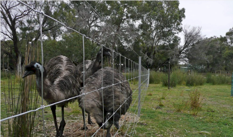 Southern Wire 8/90/15 Farm Fence