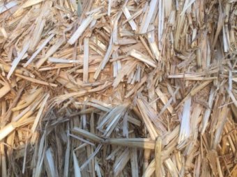 400 x Barley Straw 420-450kg 8x4x3 Bales (Shedded)