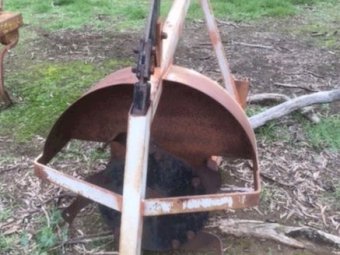 Rotary drain digger