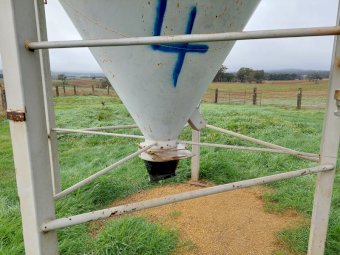 8mt Silo