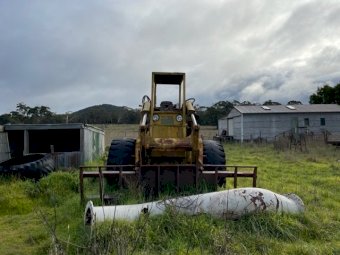 Michigan Wheel loader