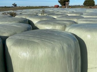 Lucerne Silage Rounds