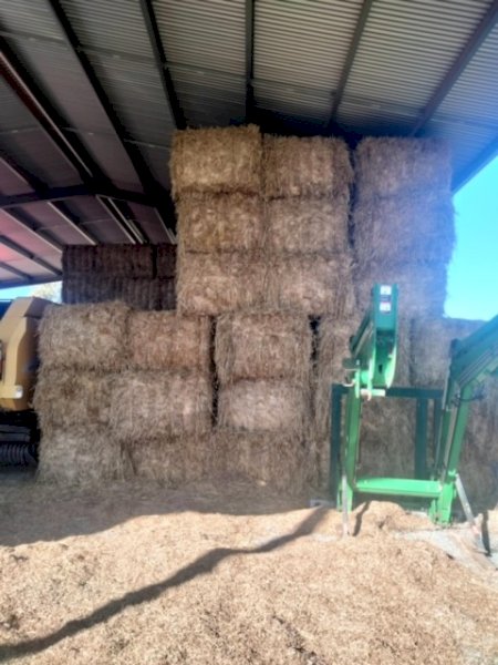 25mt Oaten Hay 8x4x3 Bales