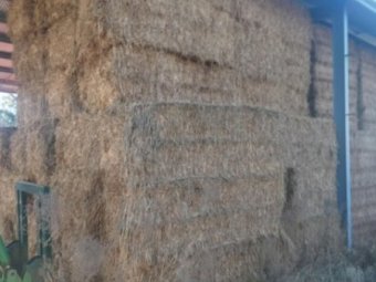 25mt Oaten Hay 8x4x3 Bales