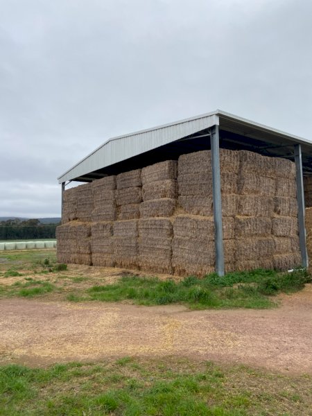 Wheaten straw Header tailings