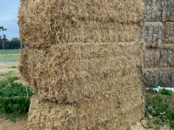 Wheaten straw Header tailings