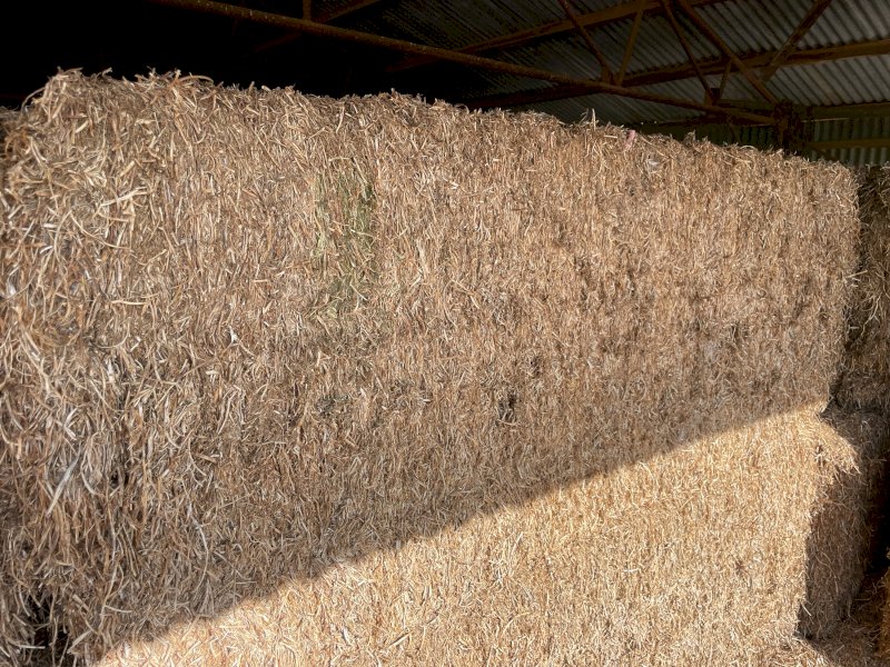 65mt approx. Vetch Hay 550kg 8x4x3 Bales