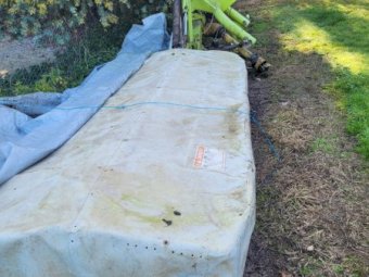 Claas 2.7 mt Mower