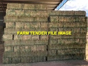 1100 Oaten Small Squares