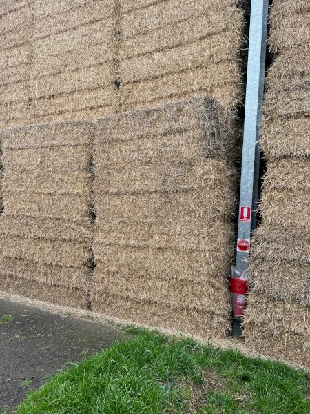 Wheaten Straw 8x4x3 Bales