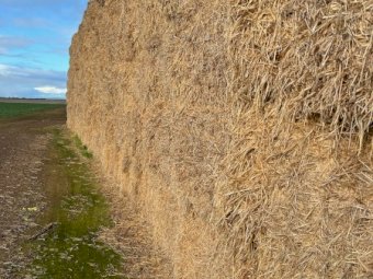 75m/t Barley Straw