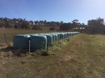 100 x 4x4 Round Bales Lucerne Silage