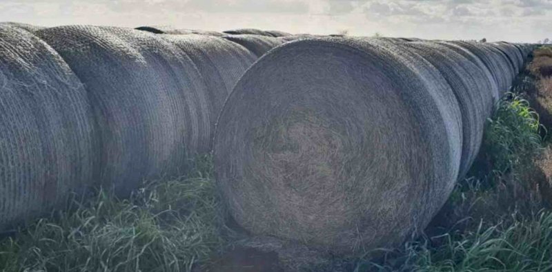 2020 Shaftal Clover and Ryegrass Hay