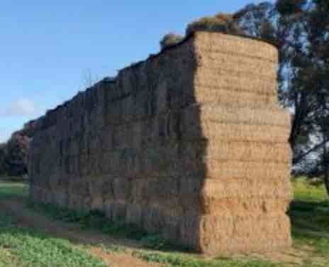 Vetch Hay 8x4x3 Bales