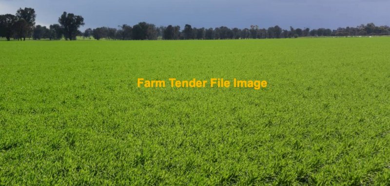 WANTED Lease Cropping Land / cattle grazing country 