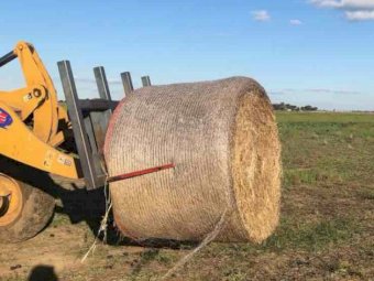 200mt Oaten Hay 450kg 5x4 Round Bales