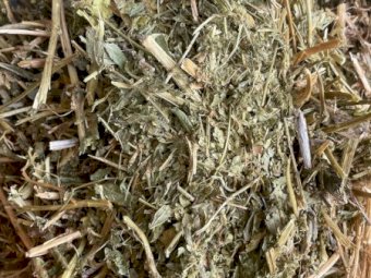 Vetch Hay