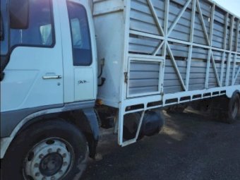 2001 Hino Medium Rigid Livestock Truck