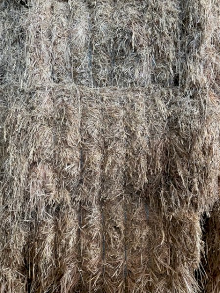 Organic certified Oaten Hay