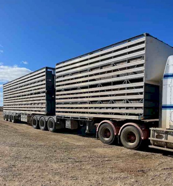 2005 Byrne 4x2 B Double Stock Crates