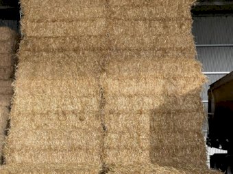 35mt Oaten Straw 500-550kg 8x4x3 Bales