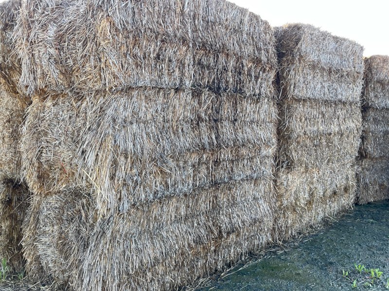 200+ Cereal Straw Mulch