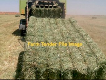 200 Bales Barley/Lucerne Blend 8x4x3 Bales