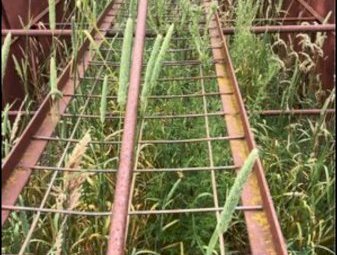 17ft Grain Bin