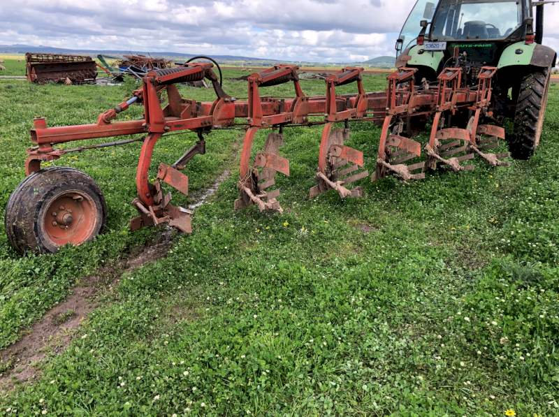Sanderum Mouldboard Plough