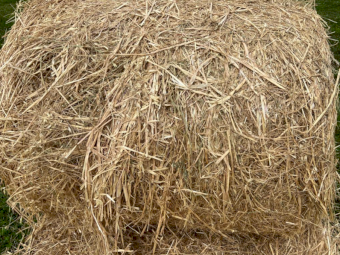 100 x Oaten Pasture Hay Rolls