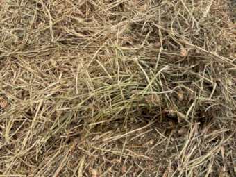 100 x Clover Hay 5x4 Rolls