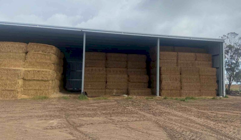 Vetch Hay 8x4x3 Bales