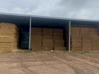 Vetch Hay 8x4x3 Bales