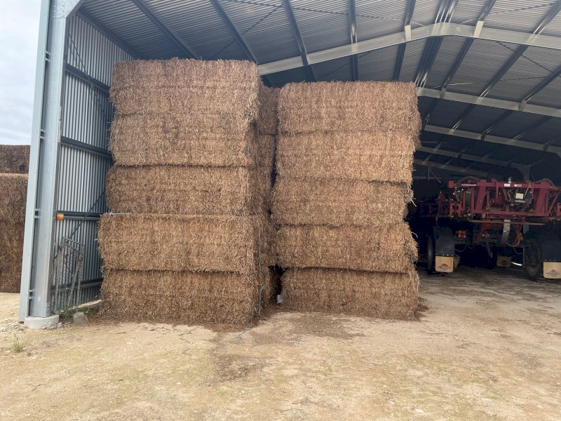 180mt Vetch Hay 600kg+ 8x4x3 Bales (New Season 22/23)