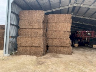 180mt Vetch Hay 600kg+ 8x4x3 Bales (New Season 22/23)