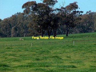 WANTED!! Cattle Property to Lease/Agist